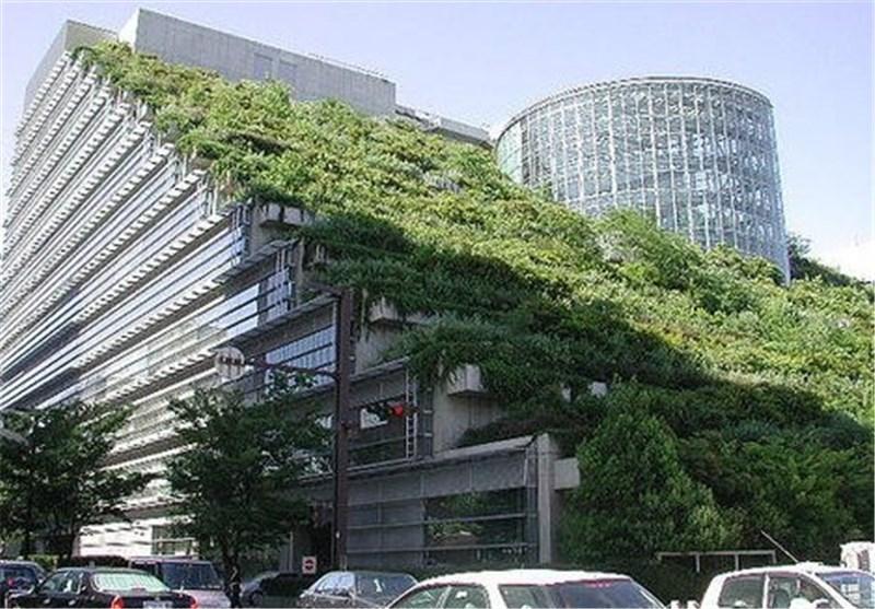 بام های سبز (روف گاردن) در ساختمان های قزوین گسترش می یابد